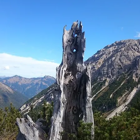 Wellness-appartementhaus Seebichl * Nesselwängle